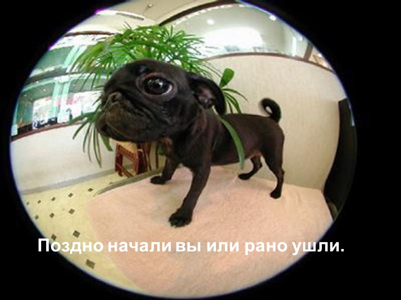 Поздно начали вы или рано ушли.